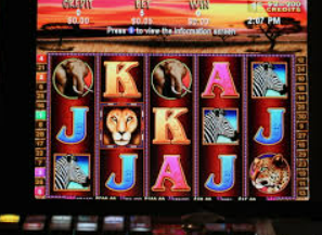 新葡萄(8883·AMG)最新版