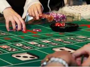 新葡萄(8883·AMG)2024最新版